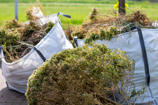 Best Shed Removal  in Dunthpe, OR